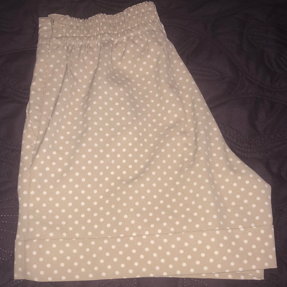 7th Avenue New York & Company Shorts